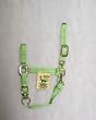 Hamilton Deluxe 1" Nylon Horse Halter with Adjustable Chin and Throat Snap, Lime Green, Yearling (300-500 lbs)