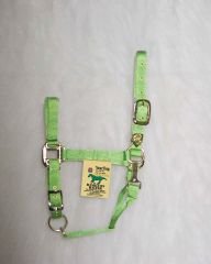 Hamilton Deluxe 1" Nylon Horse Halter with Adjustable Chin and Throat Snap, Lime Green, Yearling (300-500 lbs)