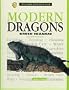 Modern Dragons: Green Iguanas