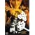 �ÎE [DVD]