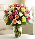 21FWrxd5HLL. SL160  Same Day Flower Delivery Two Dozen Premium Long Stem Assorted Roses