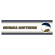 Georgia Southern Eagles - Wallpaper Border