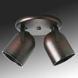 Progress Lighting P6149 2 - Light Directional Spotlight - P6149