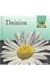 Daisies (Checkerboard Science and Nature Library)