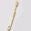 Nuk Brush