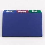  : ESS73148 - 4 x 6 Monthly (January-December) Poly Card Guides, 1/3 Tab, 3 Colors, 12/Set (ESS73148)