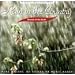 Sounds of the Earth: Rain in Country