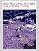 Red Hot Chili Peppers - Live At Slane Castle [DVD] [2003]