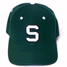 Michigan State DH Cap