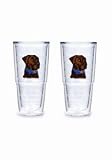 Tervis Tumblers - Dog - Chocolate Labrador - 24 oz Big T - set of 2