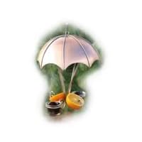 Oriole Feeder by Woodlink Audubon Series