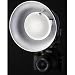 Interfit Photographic Mini Reflector / Beauty Dish for Shoe Mount Flashes, Flex Mount Not Included