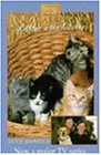 Kittens in the Kitchen (Animal Ark)