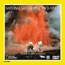 火山!(1) [DVD]