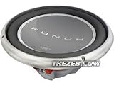 Rockford Fosgate P215S8 15 Subwoofer
