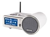 Sagem MY DU@l 700 Internet Radio (USB/LAN/W-LAN, MP3/WMA-Player) silber