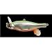 MEGABASS Fishing Lure Anthrax M Signal Bait