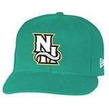 New Hampshire Fisher Cats New Era 2008 Onfield 59FIFTY