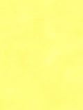 NICKELODEON KIDS Wallpaper -147-W46081 Wallpaper