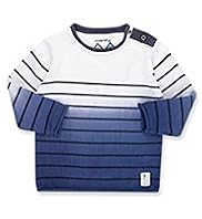 Autograph Pure Cotton Dip Dye Striped Jumper