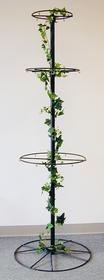 Wild Bird Feeder Display - Bci