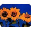 TUFTOP Cutting Board Fleur du Soliel - Small (9' 'x12' ')