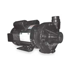 Dayton 2ZXN8 Centrifugal Pump, 3 HP, 1Ph, 230V