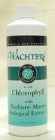 Chlorophyll Liquid Concentrate - Marine Biological Extract Blood Of The Plant