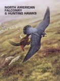 Falconry