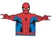 Spiderman wash mitt