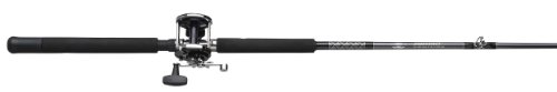 Penn Jigmaster Combo (7-Feet)