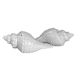 NAUTICAL SHELL SALT/PEPPER - NAUTICAL SHELL PORCELAIN SALT AND PEPPER SHAKERS