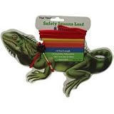 Four Paws Safety Iguana Leash and Harness