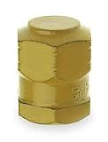 HD Valve Cap,High Pressure,PK100 Camel 38-714-100