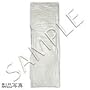 �������{�́i�Z�x���X�X���[�X�j160�~50cm