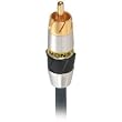Monster MC 200R-2M 200 Series Composite Video Cable (2 meters)