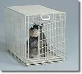 Pet Product 213 Dog Crate - White Fold Down - Medium