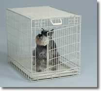 Fold Down Dog Crate - White/Medium