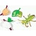 MANTIS LIFE CYCLE STAGES