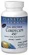 Full Spectrum Cordycepts 450 - 60 - Tablet Full Spectrum Cordycepts 450 - 60 - Tablet