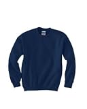 Youth Crewneck Sweatshirt