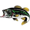 Green Bass Auto Magnet