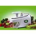 Green Star Elite GSE-5000 Juicer Extractor