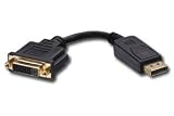 LINDY DisplayPort to DVI Adapter Cable