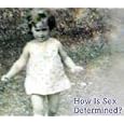 Sex: Unknown (Nova)