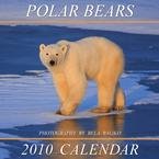 Polar Bears 2010 Wall Calendar