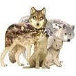 Wolf Song 1000 pc Wolf Shaped Jigsaw Puzzle by Sunsout