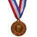 2 Fake Bronze Prize Award Medal Medallion on Ribbon Necklacelace