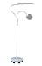 Kitchen & Housewares : Daylight Lighting : FLOOR STANDING CRAFT LAMP