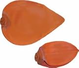 Bladders